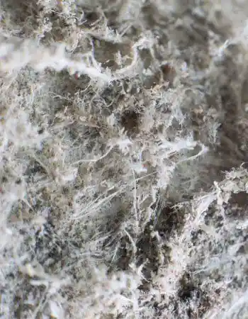 Asbestos image