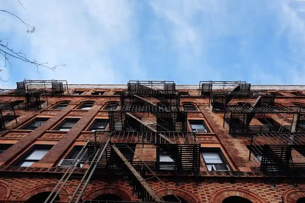 home-owners-guide-for-mold-remediation