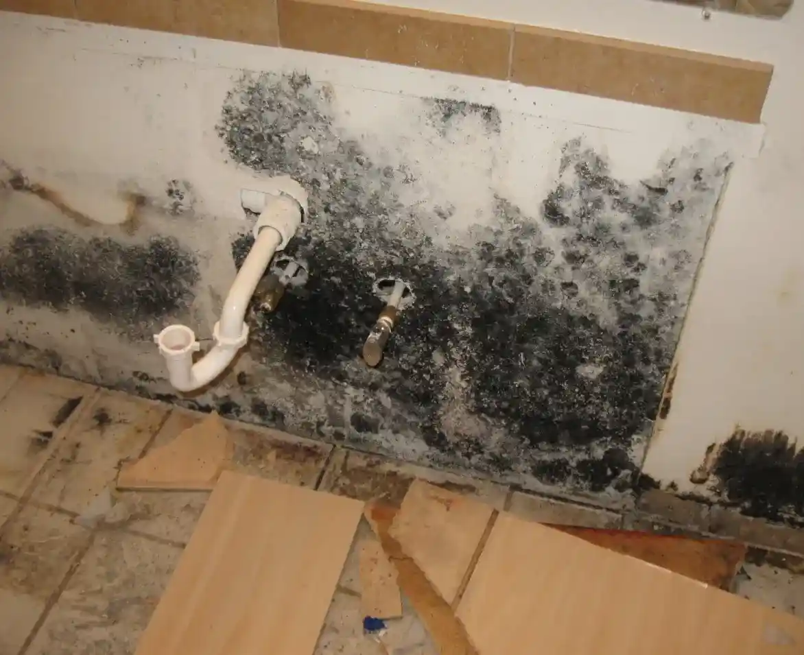 damaged-front-door-due-to-mold-and-asbestos