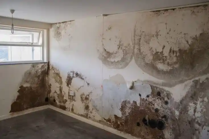 damaged-front-door-due-to-mold-and-asbestos