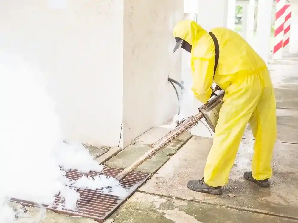 Mold Remediation in Brooklyn