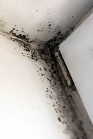 humid-office-image