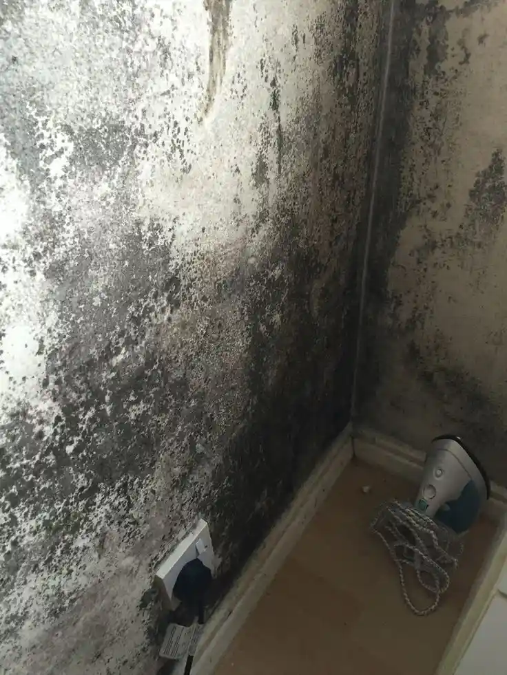 smelly-office-image