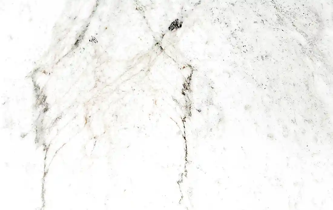 wall-of-mold